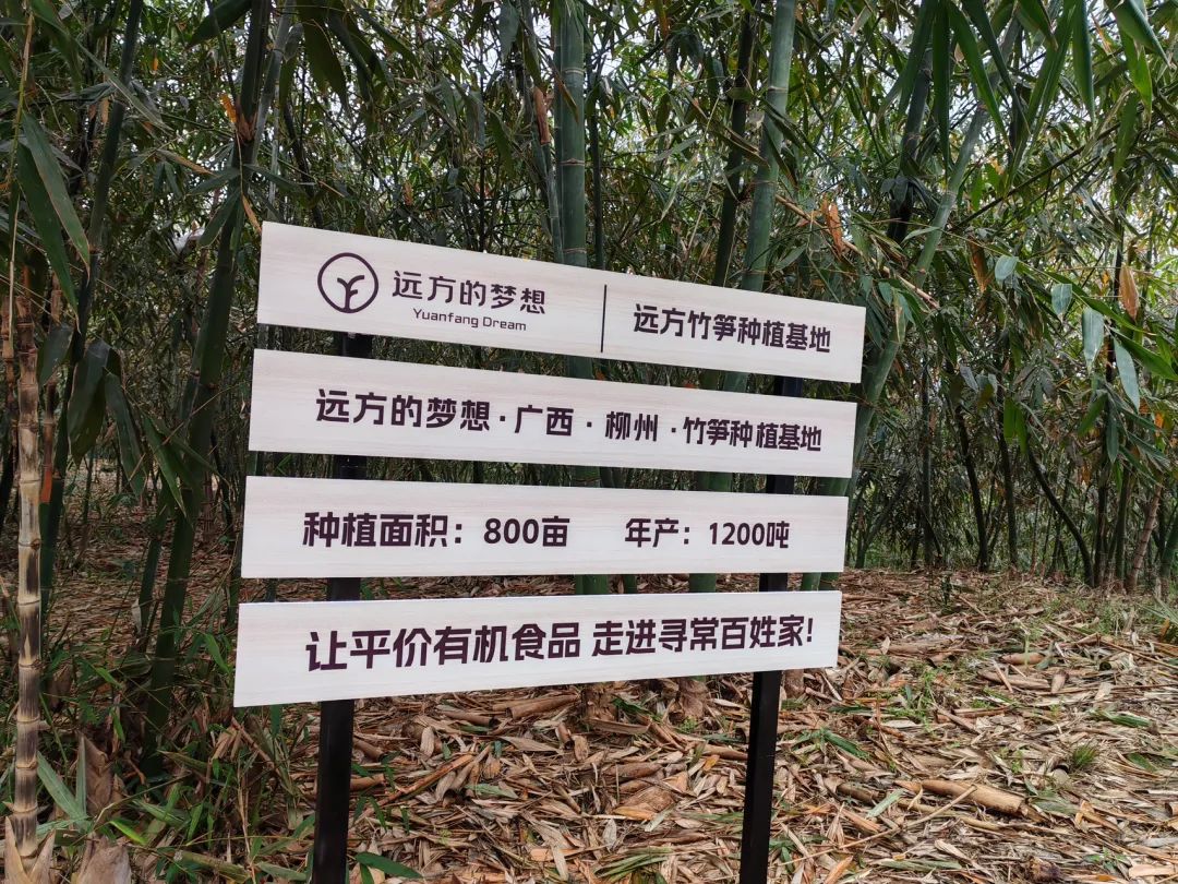 柳州螺蛳粉传奇：从工业重镇到味蕾名片的发展史