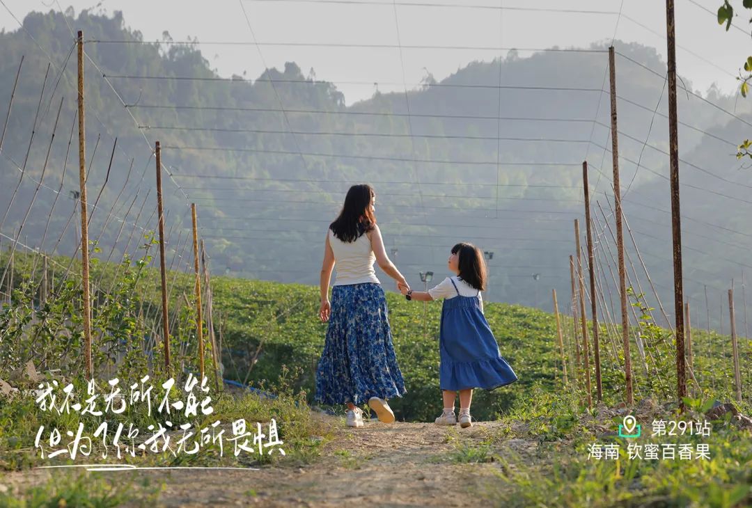原始森林里的宝藏百香果探秘之旅