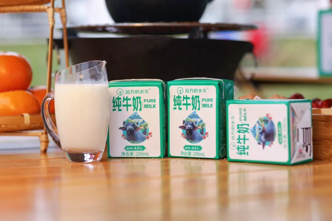 探秘广西石埠乳业：透明奶源与科技养殖的优质水牛奶