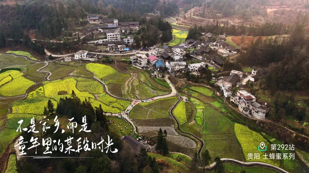 广济惠堂冻干鹿血粉溯源探秘