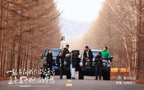 伊春桦树汁：治愈之旅与神奇功效