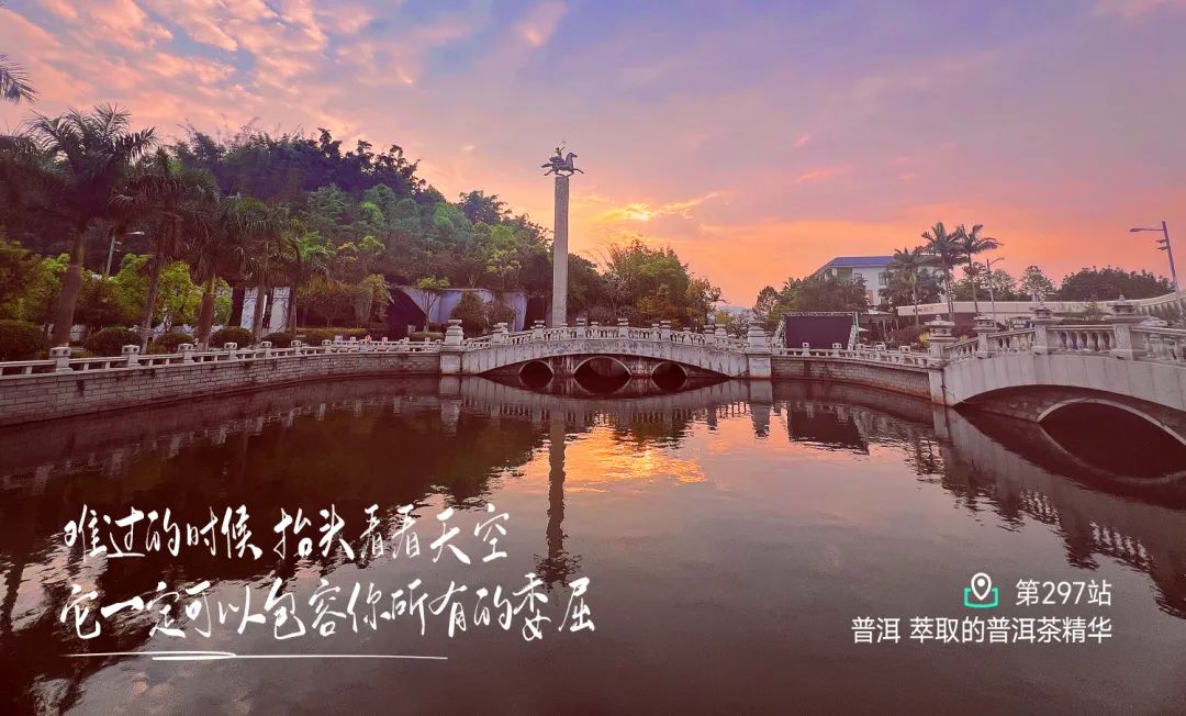 普洱溯源探秘帝泊洱茶谷山水间的心境与成长