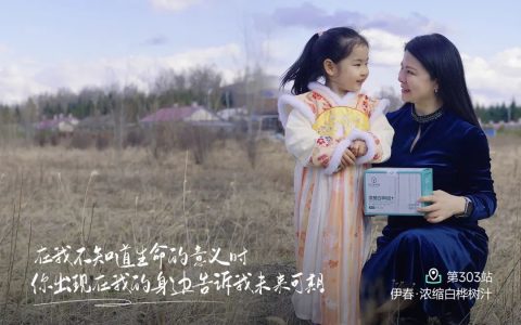 2024伊春白桦林采汁季：探秘生命之水与森林奇迹