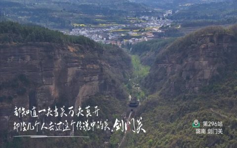 陇南橄榄油探秘：祥宇品质揭秘橄榄油造假内幕