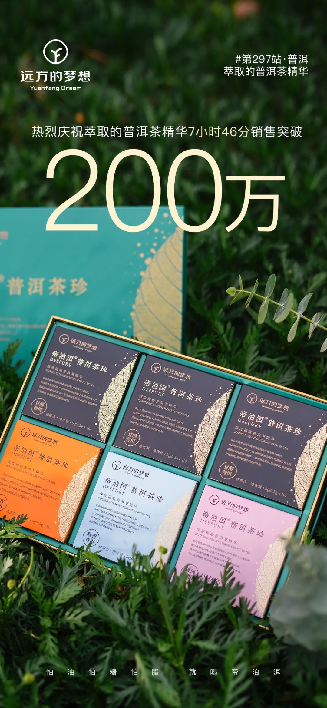 帝泊洱茶珍：天士力制药科技打造健康普洱茶