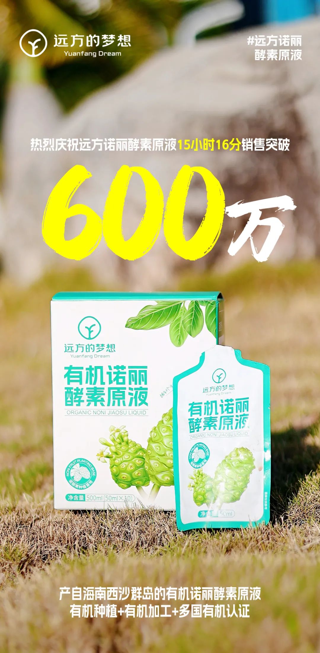 探秘琼州诺丽果种植与有机酵素制作全过程