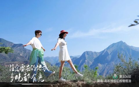 三亚凯悦酒店难忘旅程感悟与远方事业收获