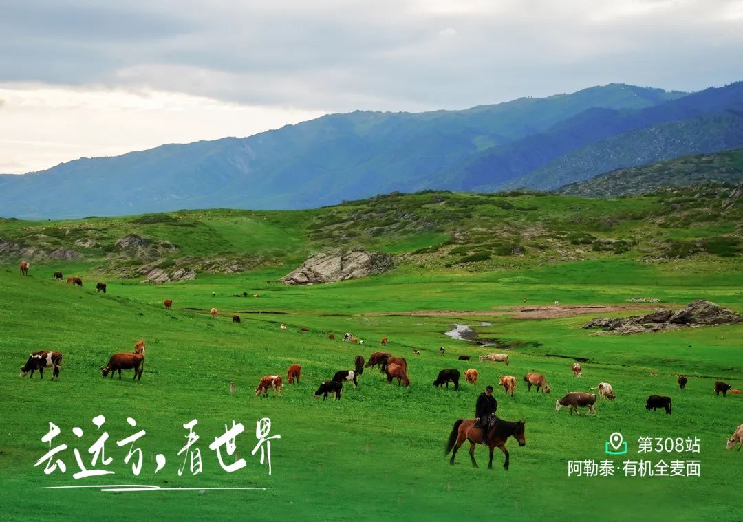 禾木最美田园牧歌：雪山夕阳下的世外桃源之旅