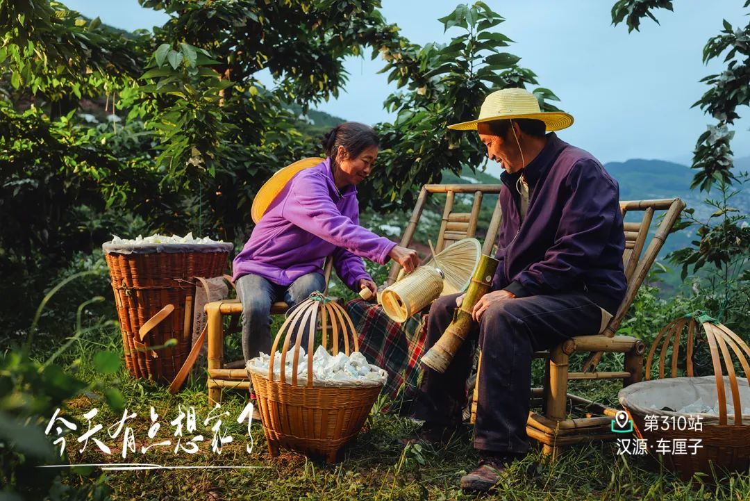 汉源车厘子溯源记：探秘世外桃源的甜蜜旅程