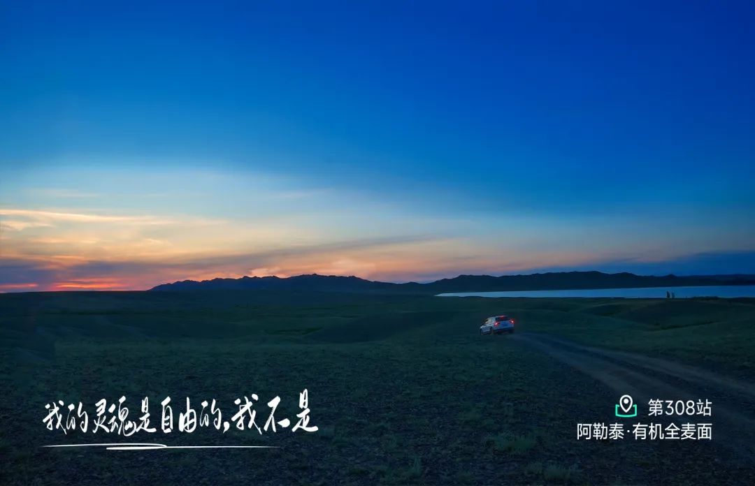 探秘北疆吉木乃：木斯岛冰川下有机小麦的传奇