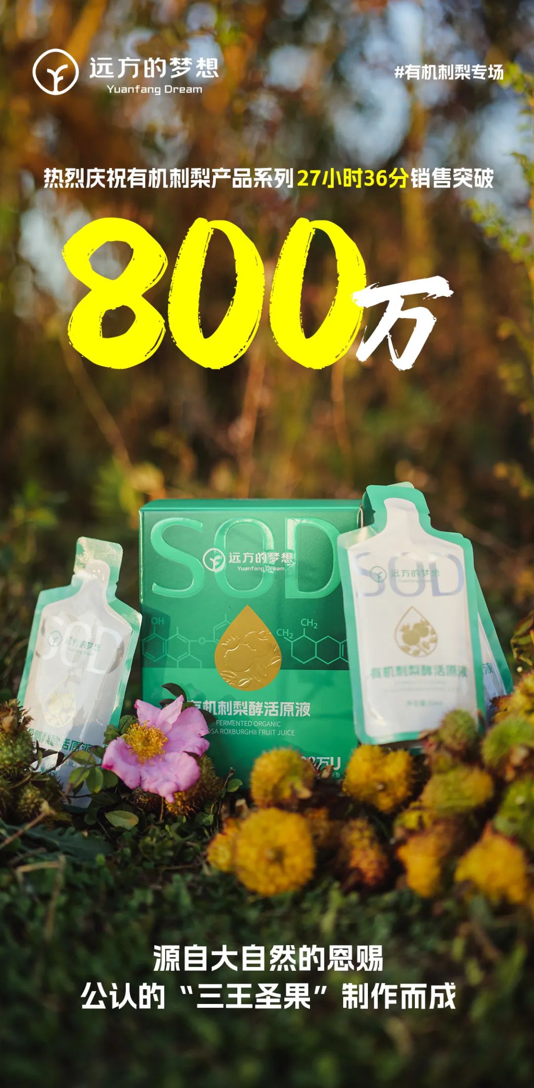 酵活刺梨：益生菌发酵提升SOD活性，延缓衰老