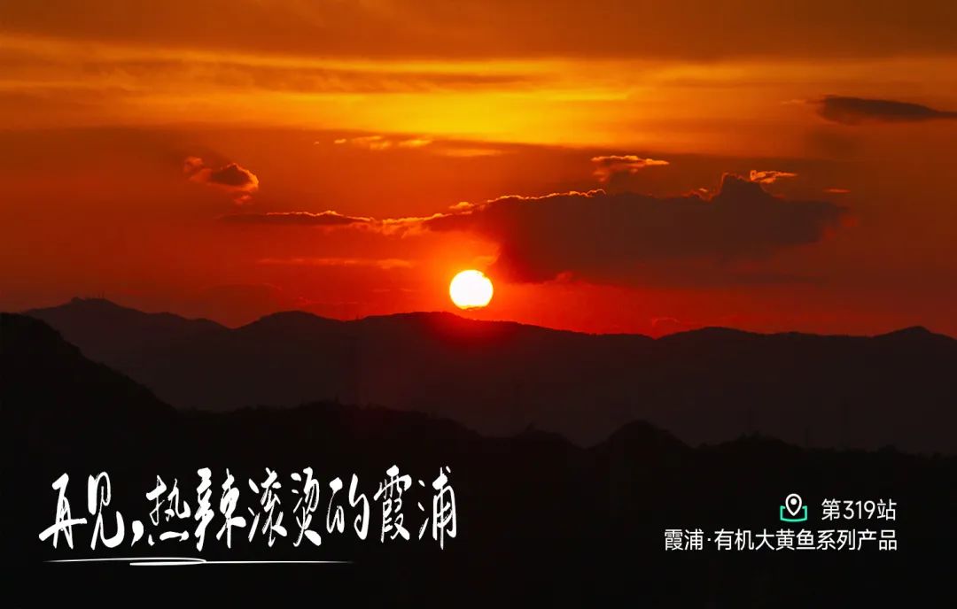 霞浦赶海奇遇记 海鲜美食与山海风光
