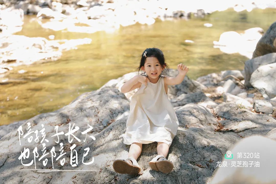 龙泉三宝探秘：宝剑青瓷灵芝的传奇之旅