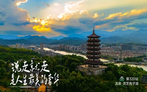 探秘龙泉岩樟乡 灵芝孢子油神奇喷粉全过程