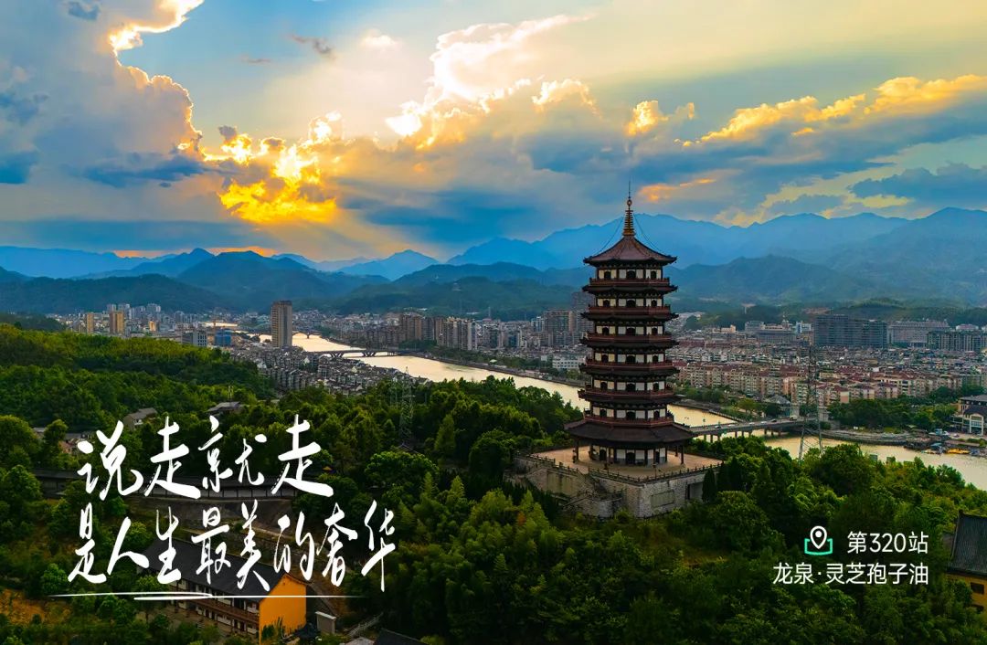 探秘龙泉岩樟乡 灵芝孢子油神奇喷粉全过程