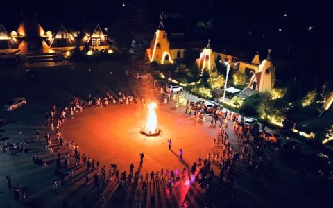 和粮19年坚守有机杂粮：张芳的农业王国传奇