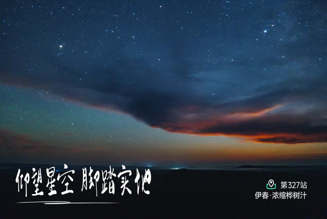 伊春白桦林溯源记：揭秘原始森林的浪漫与艰辛