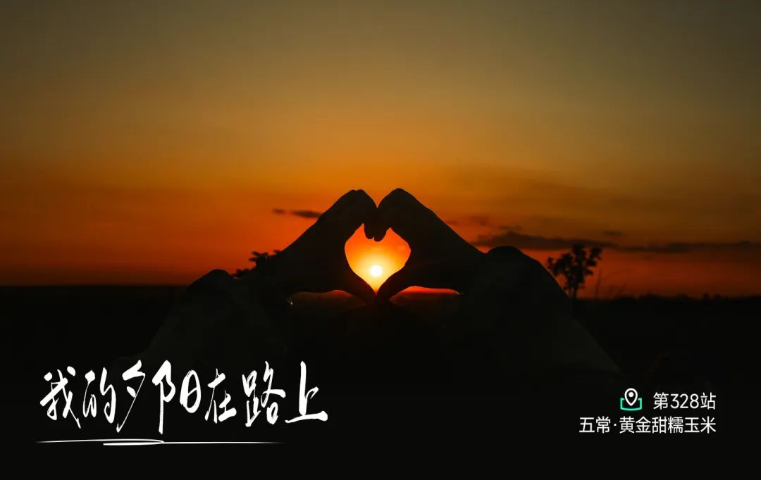 揭秘五常大米真伪与龙稻品质优势