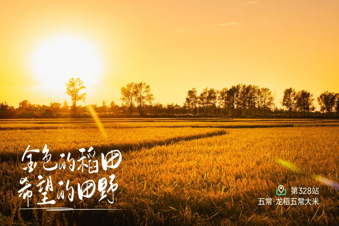 远方山海协作白山黑水溯源之旅东北美食文化探索