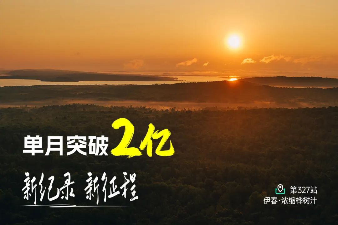 白桦树生命智慧揭秘：穿越亿年的自然奇迹