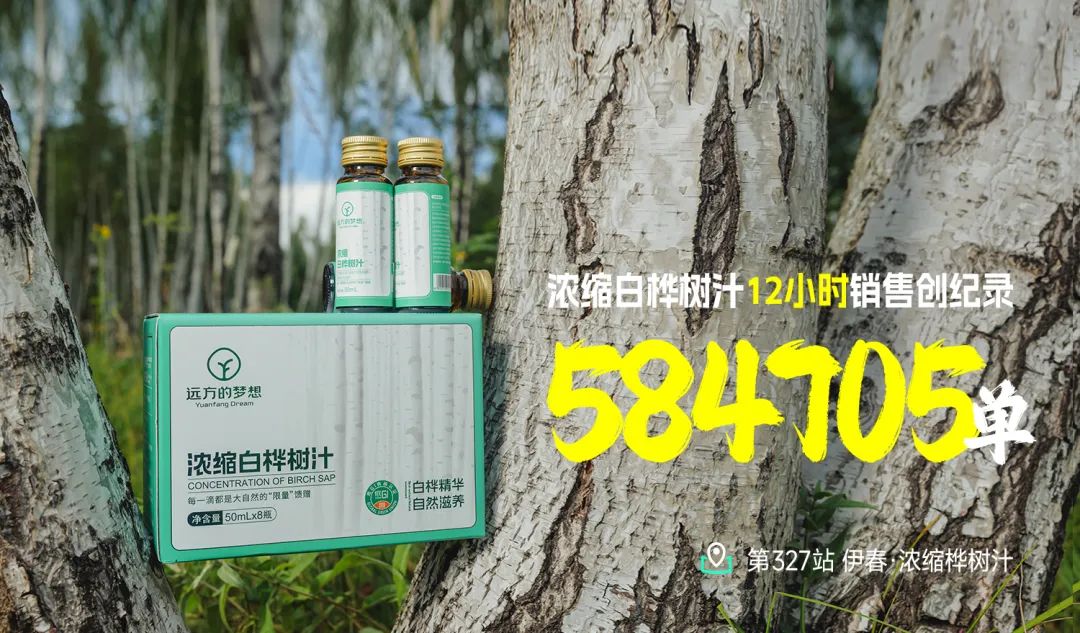 白桦树汁的神奇功效与保存技术揭秘
